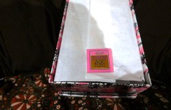 ginny doll nurse box